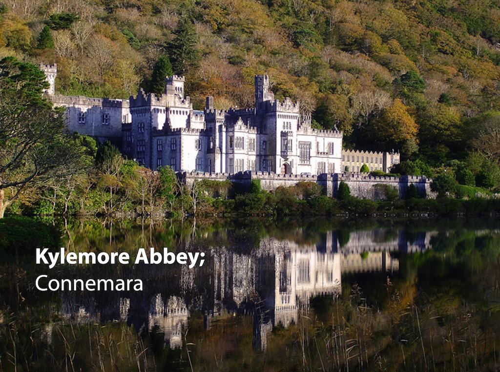 Periwinkle Bed & Breakfast Galway Luaran gambar